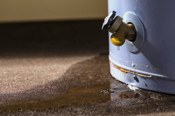 Best Flood damage cleanup  in Ripley, OH