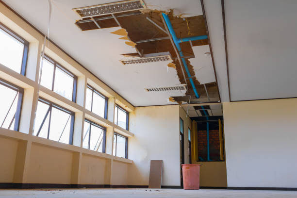 Best Residential water damage restoration  in Ripley, OH