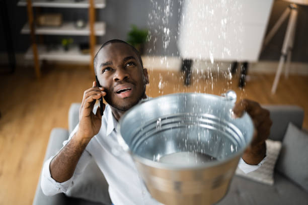 Sewage cleanup and water damage restoration in Ripley, OH