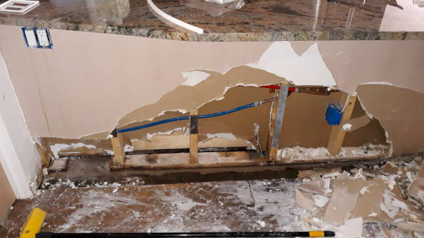 Best Fire Damage Restoration  in Ripley, OH