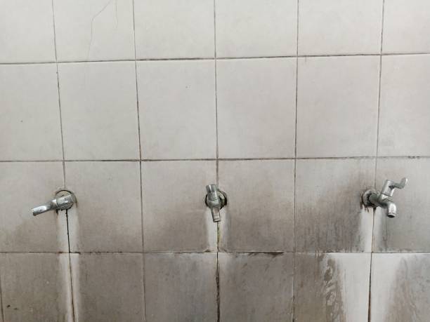 Best Emergency water damage restoration  in Ripley, OH