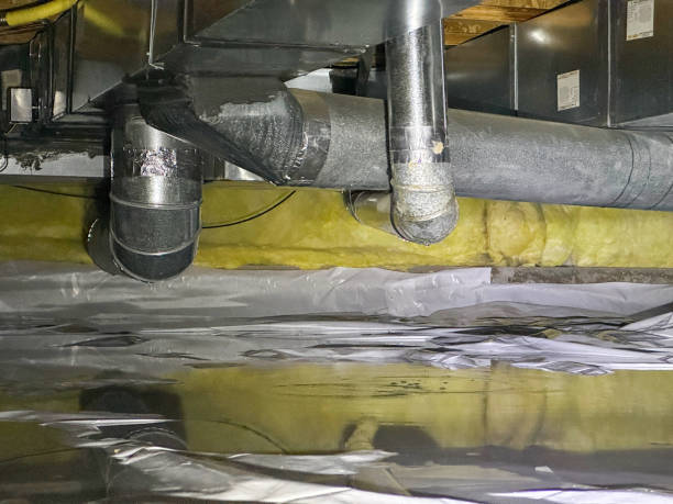 Trusted Ripley, OH Water damage restoration Experts