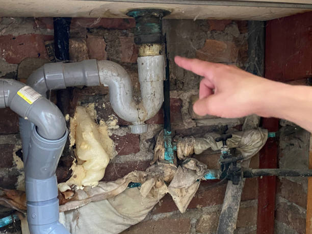 Best Basement water damage restoration  in Ripley, OH