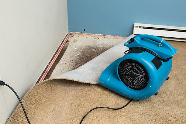 Best 24-hour water damage restoration  in Ripley, OH